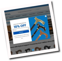 fashionablecanes.com reviews