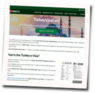turkeyvisaeasy.com reviews