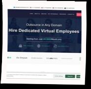 https://www.virtualemployee.com/ reviews
