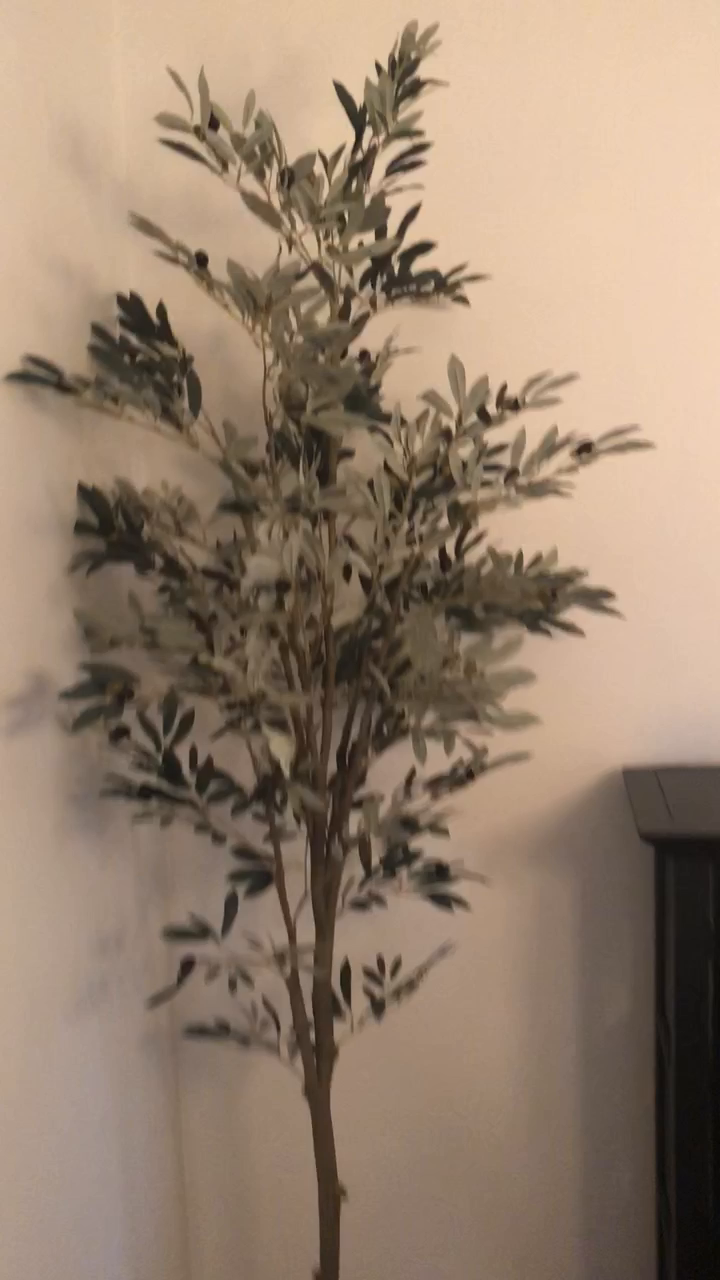 lightbulbs.com Reviews | Shopper Approved