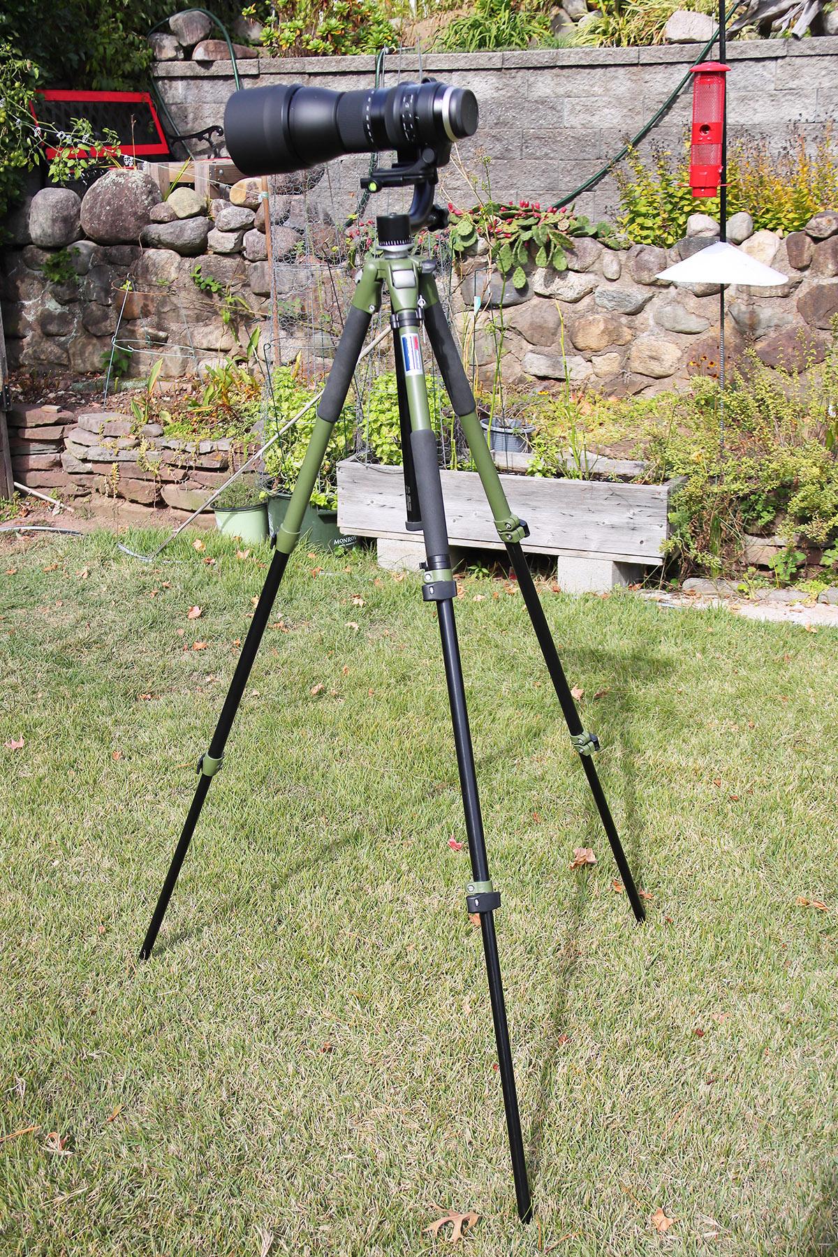 ■極上品■150-600mm F5-6.3 Di VC USD G2 ニコン用 Amazon.com : Tamron SP 150-600mm F/5-6.3 Di VC USD G2 for Nikon