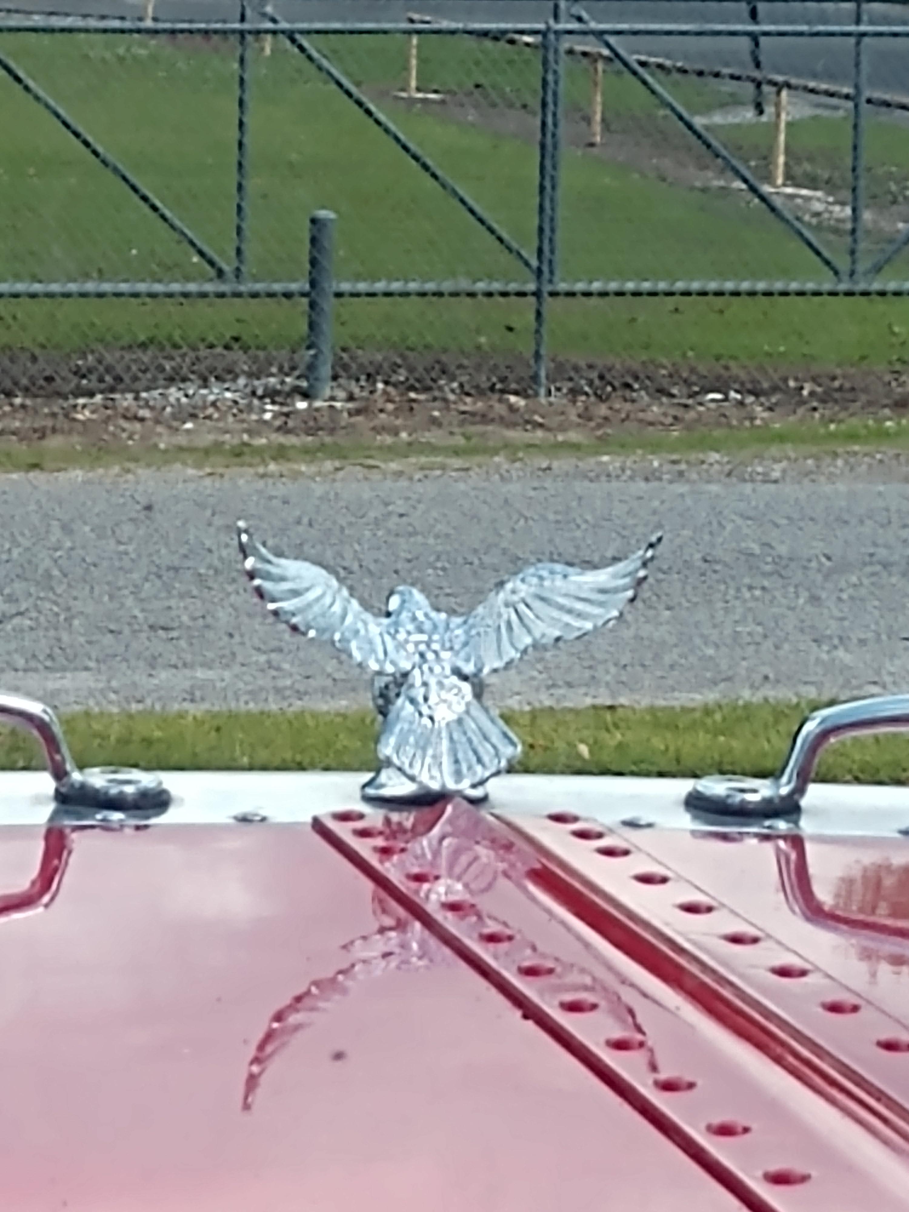 Eagle with Illuminated Eyes Chrome Hood Ornament