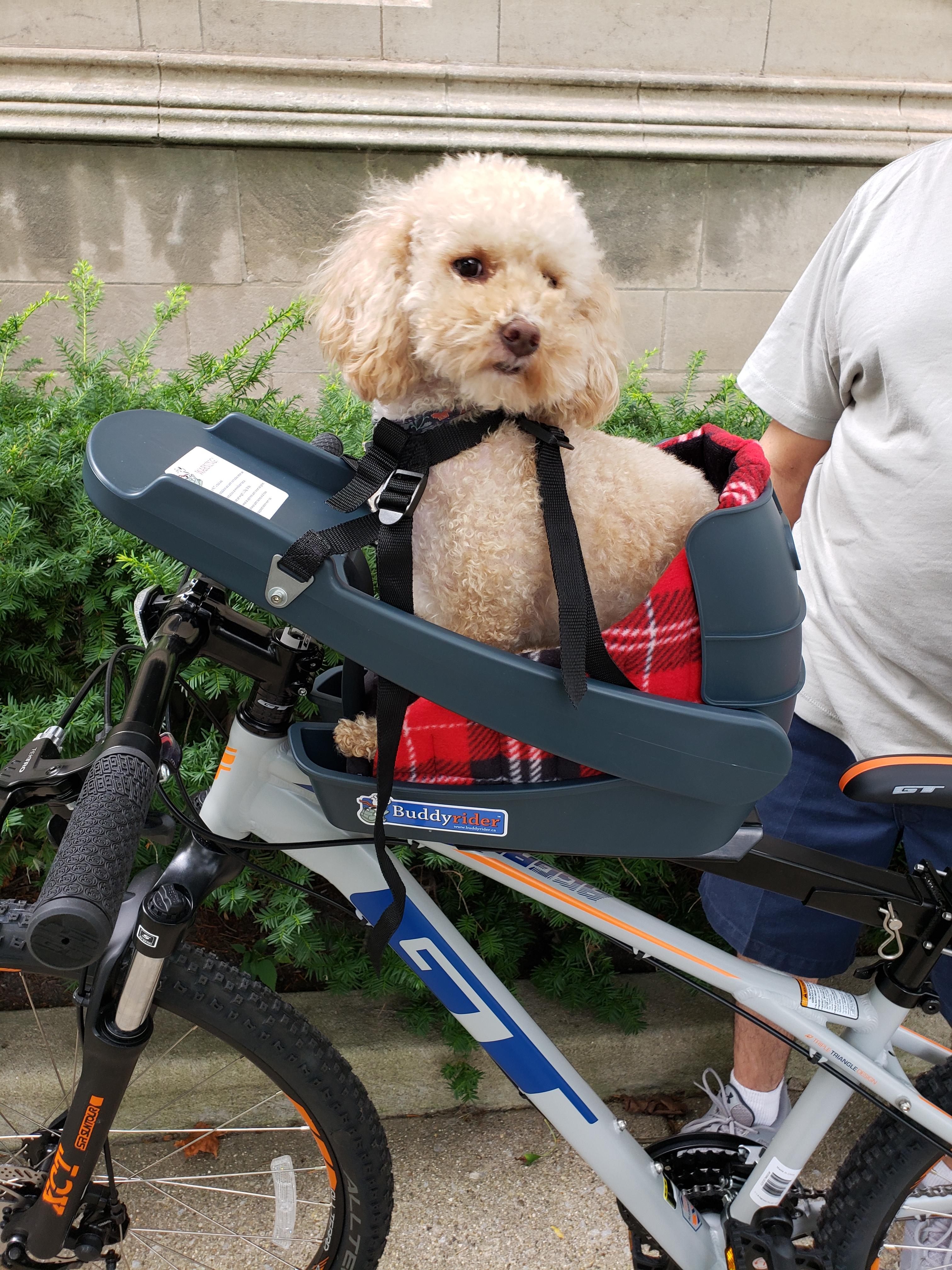 2023 Buddyrider Dog Bicycle Seat With Upgraded Harness Reviews 